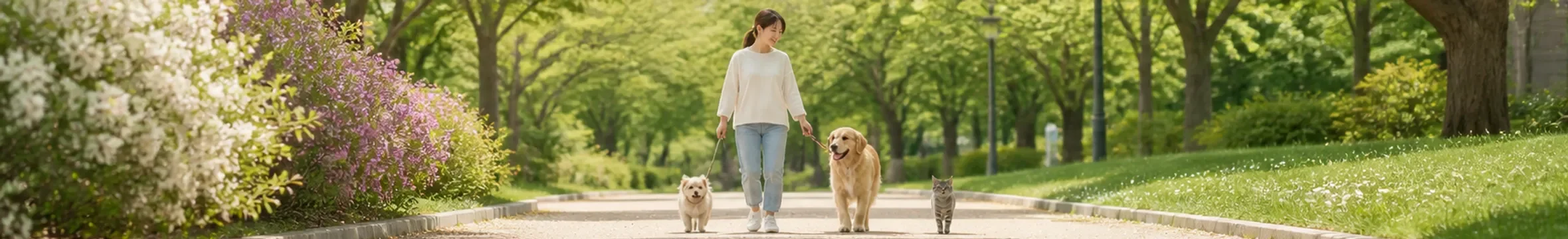 배너 일괄 등록 기능 확인용 반려동물 건강 안내
