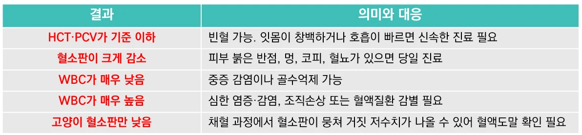 꿀팁2