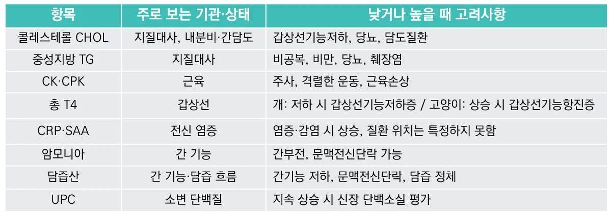 꿀팁9