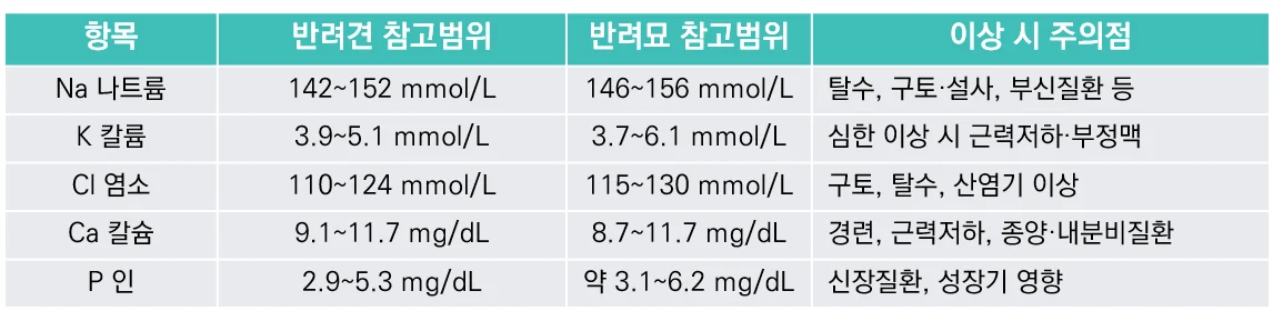 꿀팁7