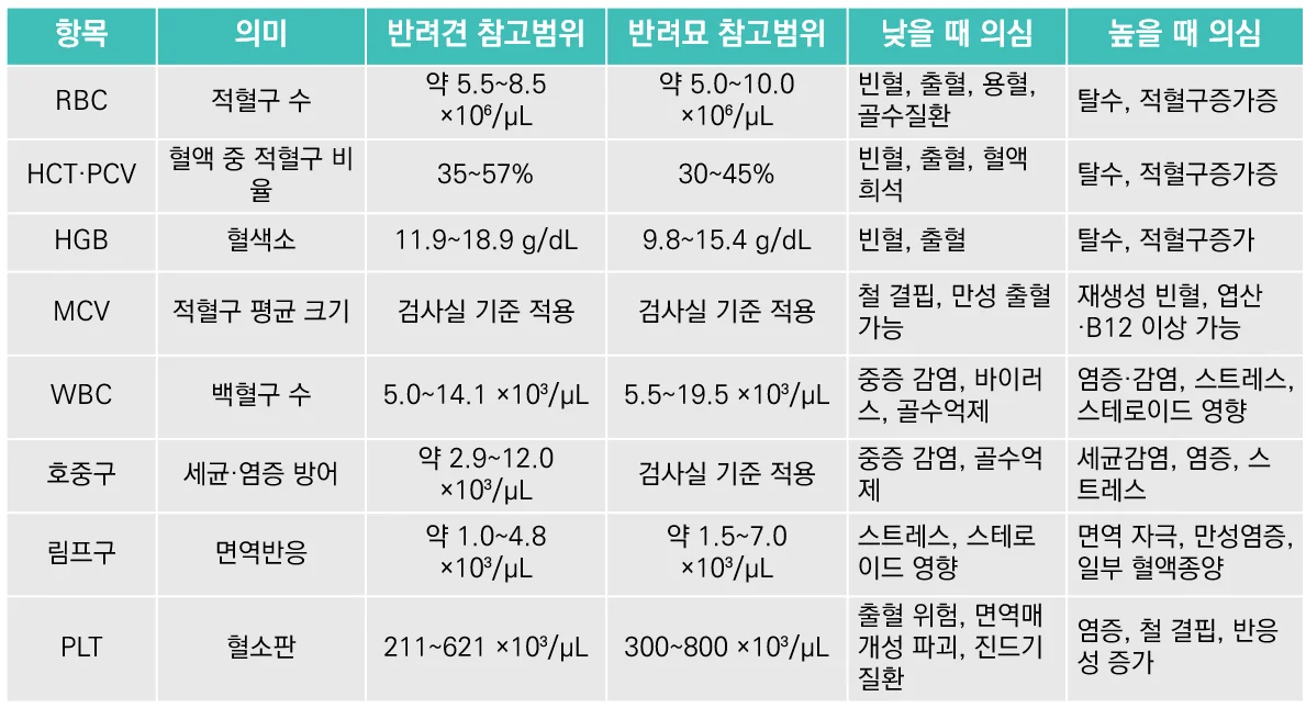 꿀팁1