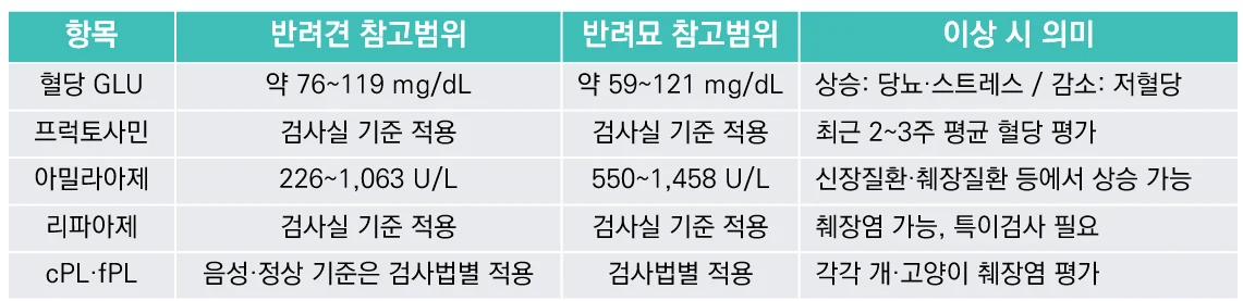 꿀팁6