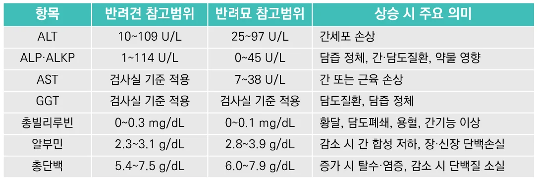 꿀팁3