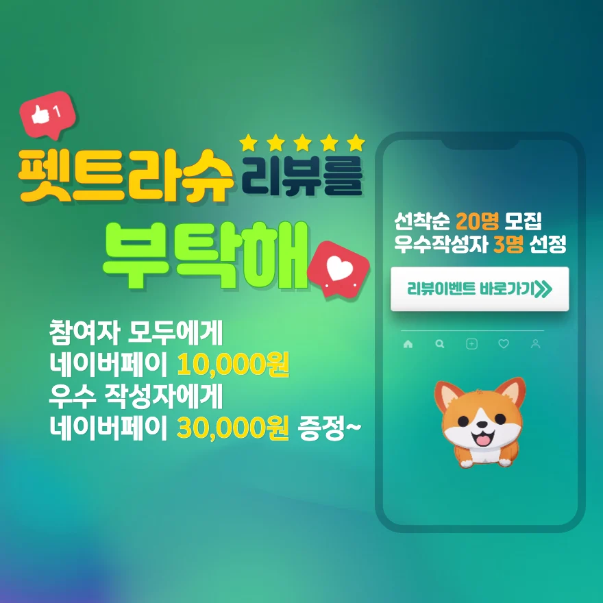 리뷰