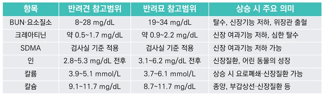 꿀팁4